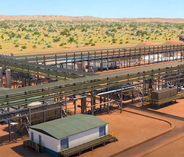 Arafura Rare Earths's (ASX: ARU)