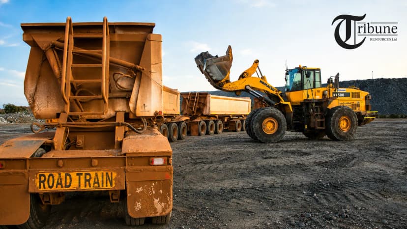 Tribune Resources (ASX: TBR)