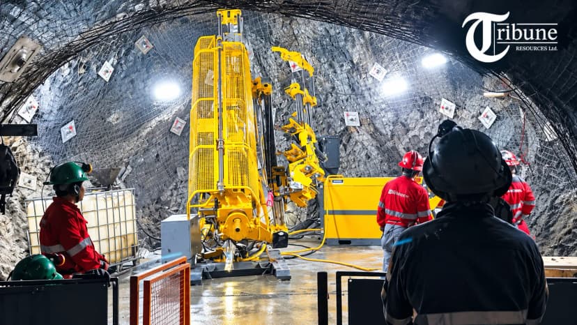 Tribune Resources (ASX: TBR)
